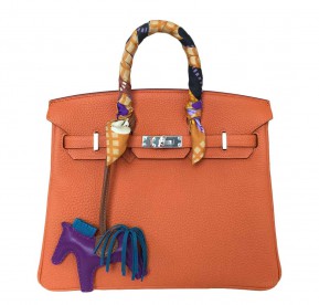 Hermès Birkin 25 Feu Clemence Bag