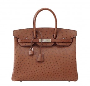 Hermès Birkin 35 Ostrich Etrusque Bag PHW